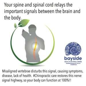 bayside-spinal-function-image