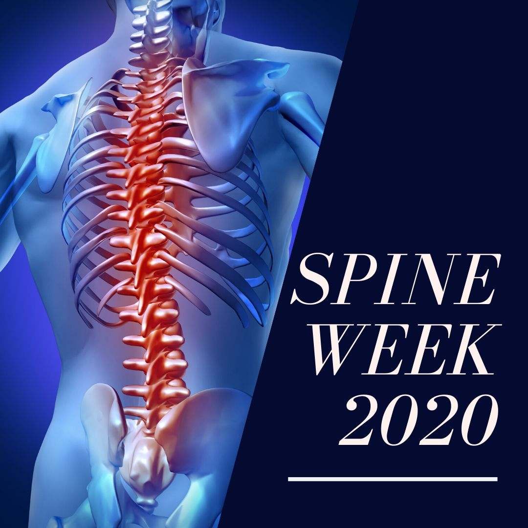 A visual of a spine for spinal week