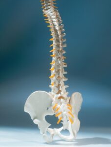 Understanding the Cascade: Effects of Spinal Misalignments on the Body